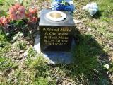 image of grave number 845750